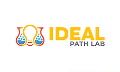 Ideal Path Lab 